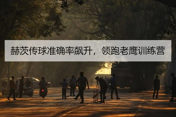 赫茨传球准确率飙升，领跑老鹰训练营