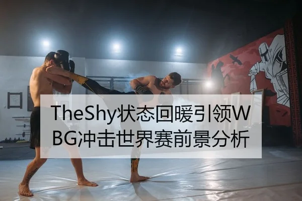 TheShy状态回暖引领WBG冲击世界赛前景分析